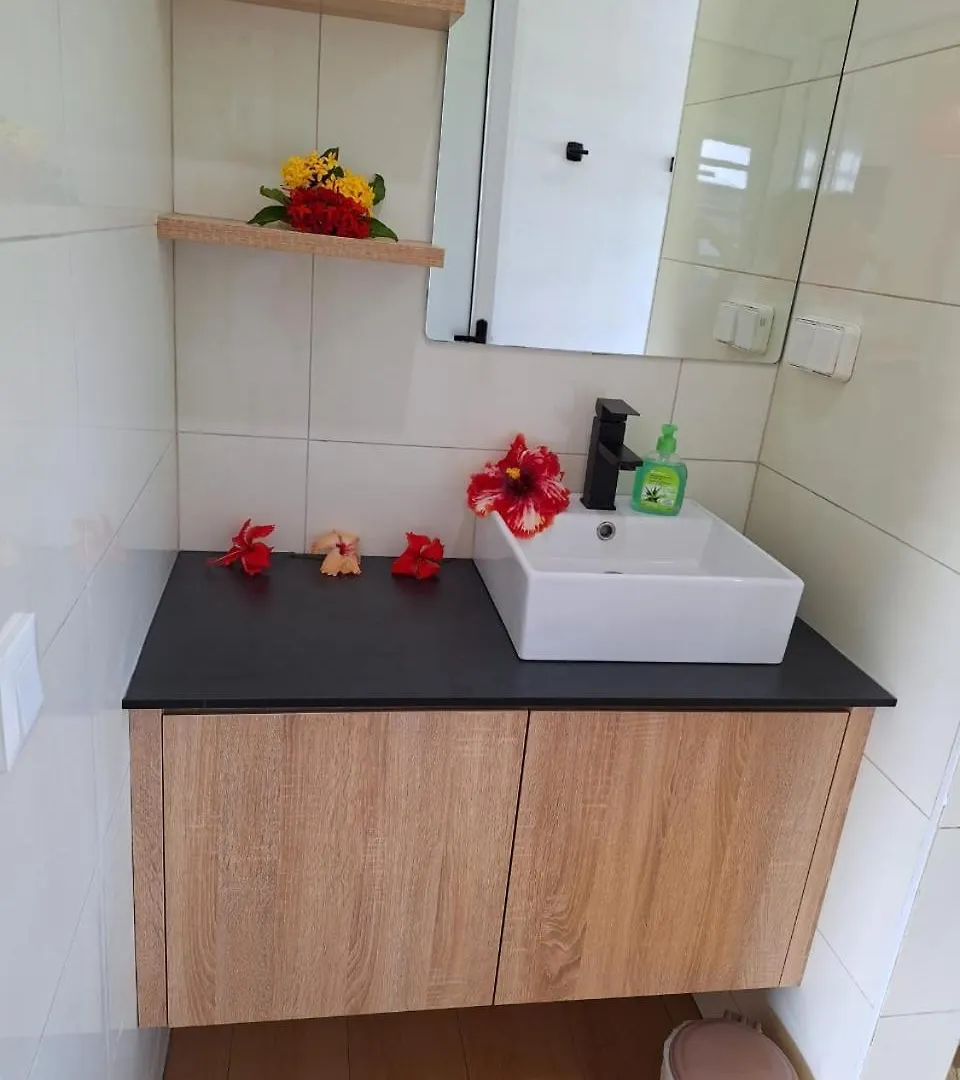 Papeari Sea Side 2 Logement Neuf En Bord De Mer Teva I Uta Casa de Férias